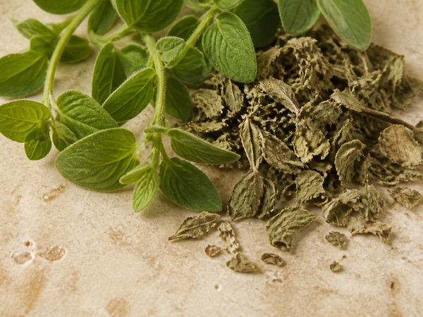Oregano Oil